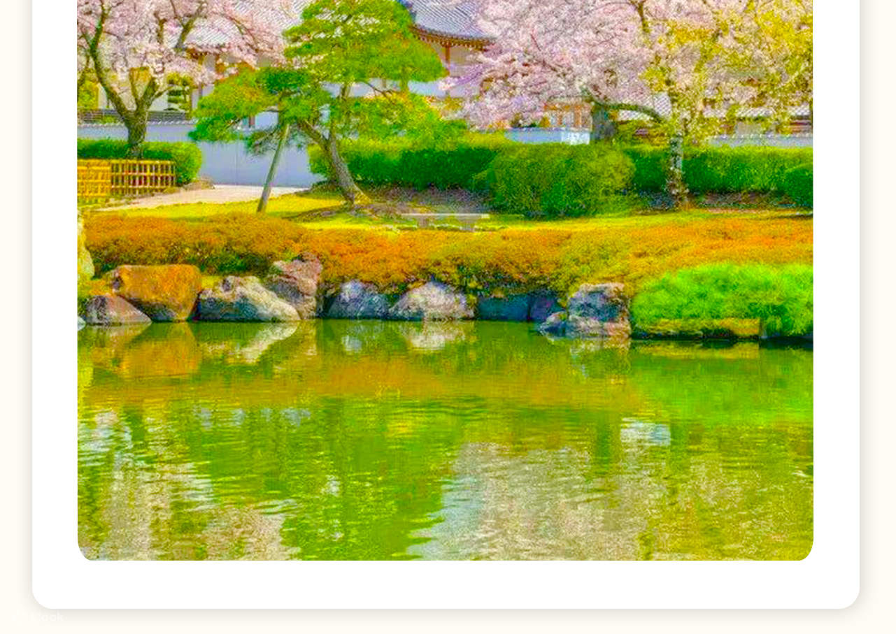 Mt. Fuji Cycling, Matcha Experience, and Hot Spring Two-Day Deep